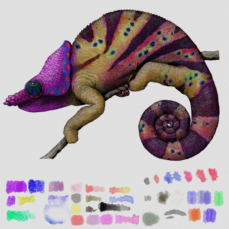 Colorful Cameleon #13