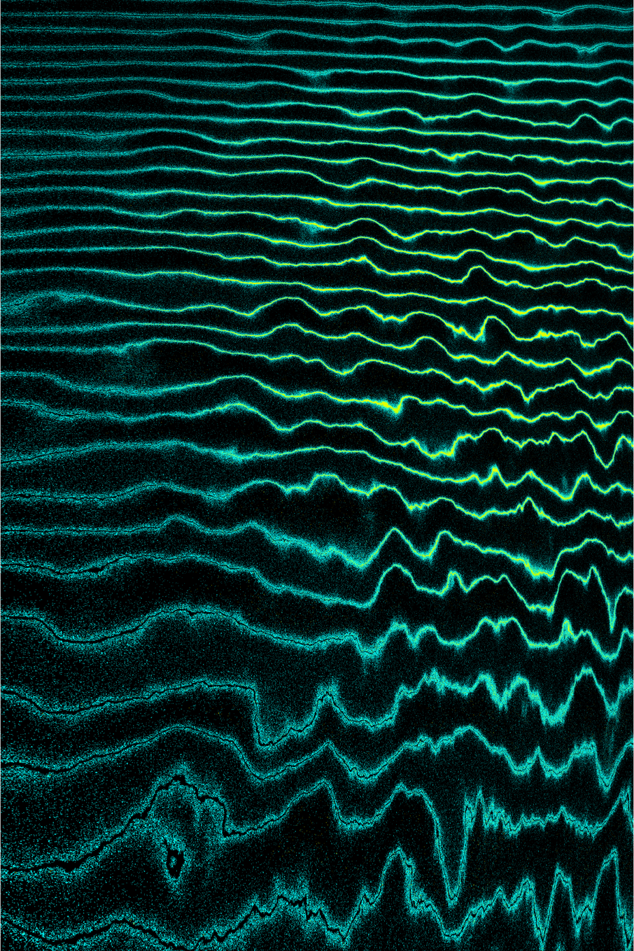 Linear Perturbations