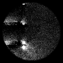 Telescopic Images of a Distant Space-Time #116