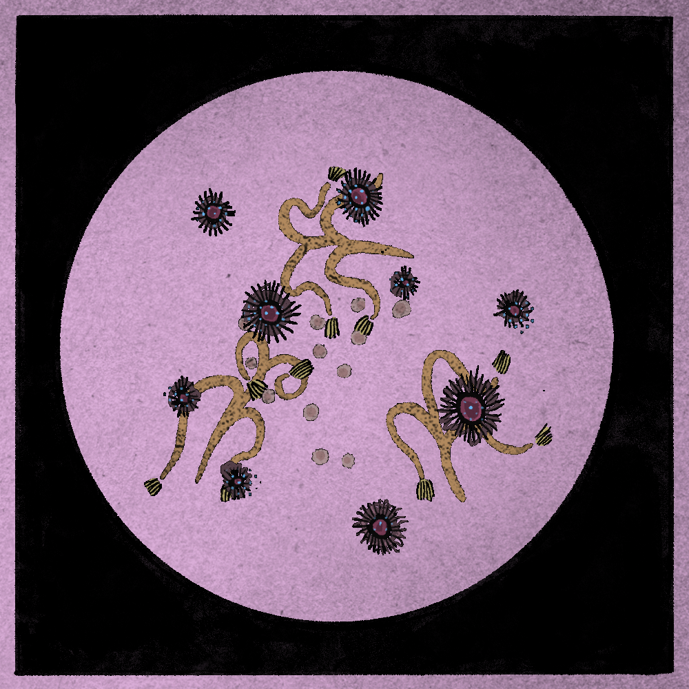 Microbes #67