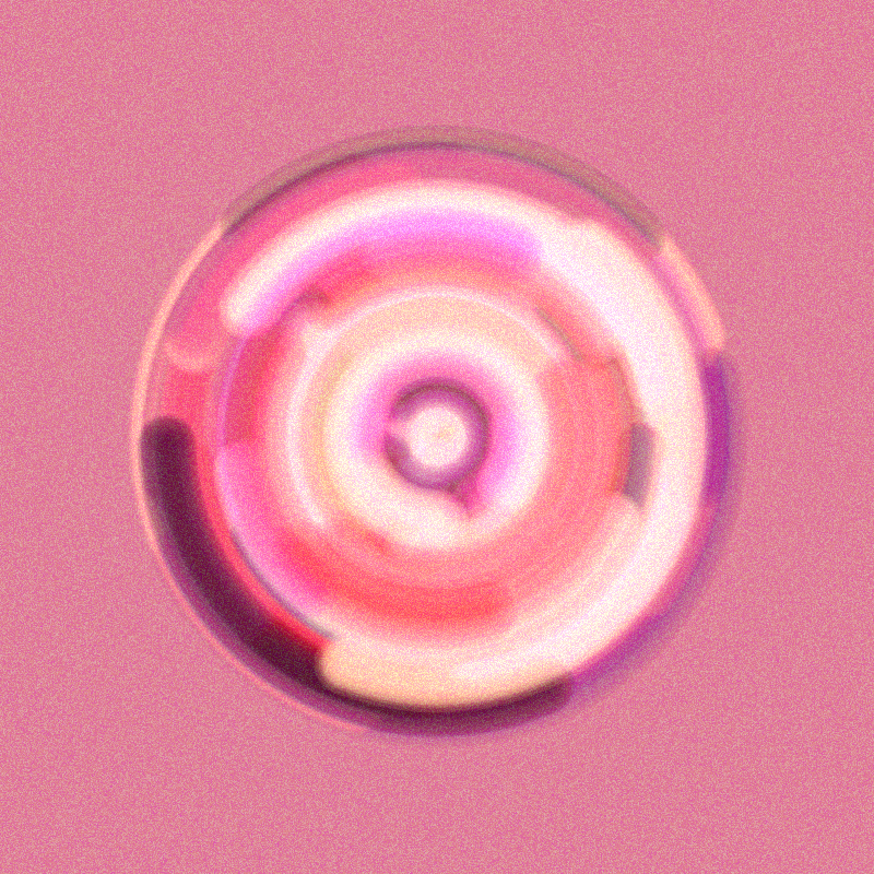 Wisp #601