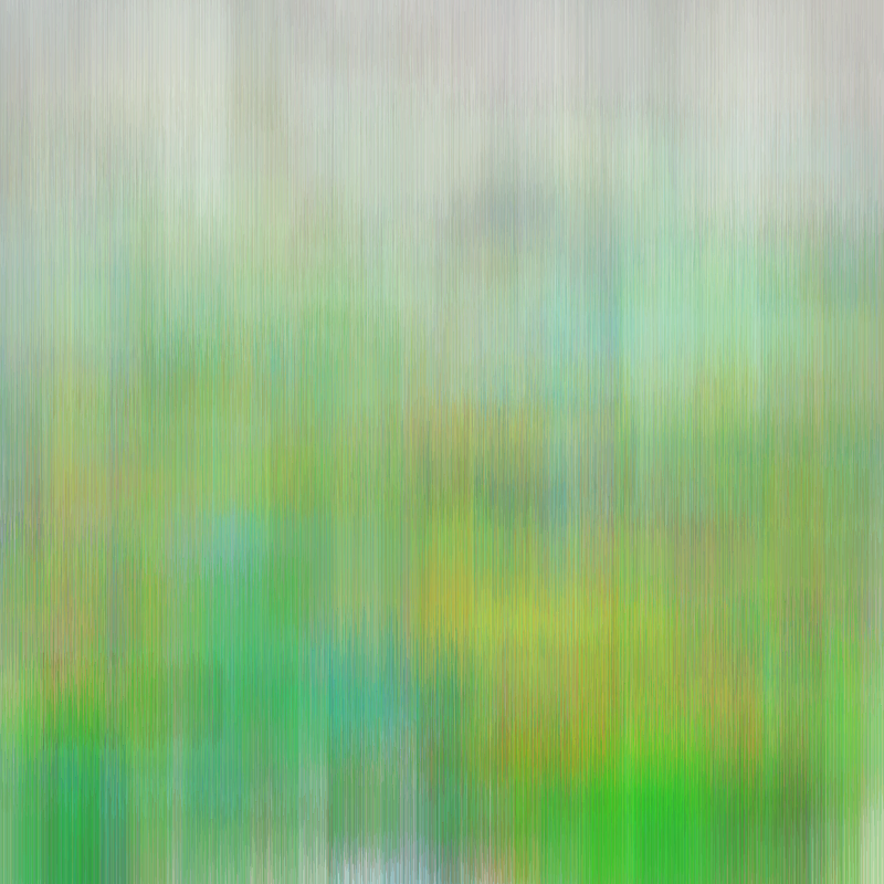 Hatch Field 001 #72