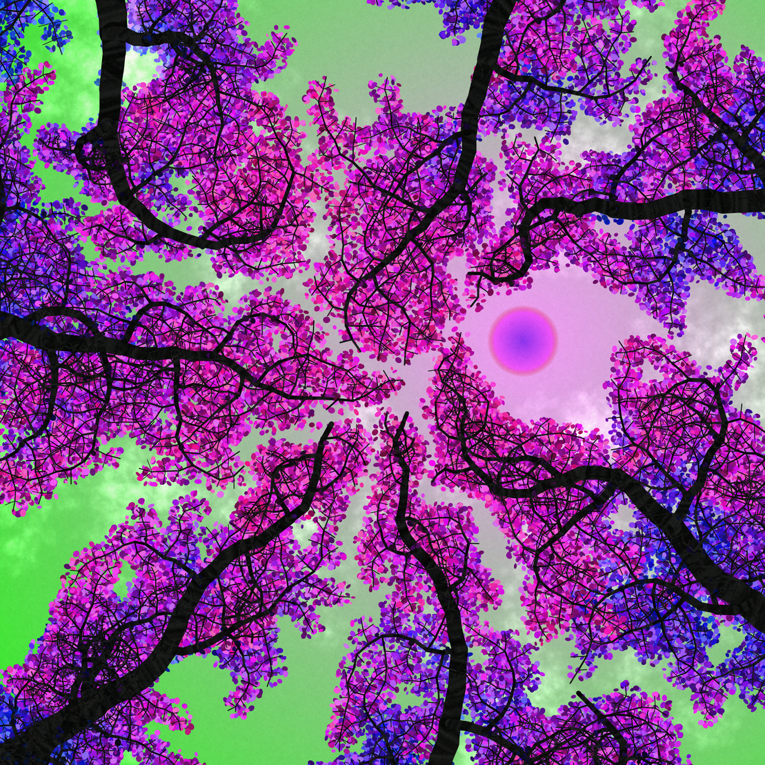 Tree Skyness #19