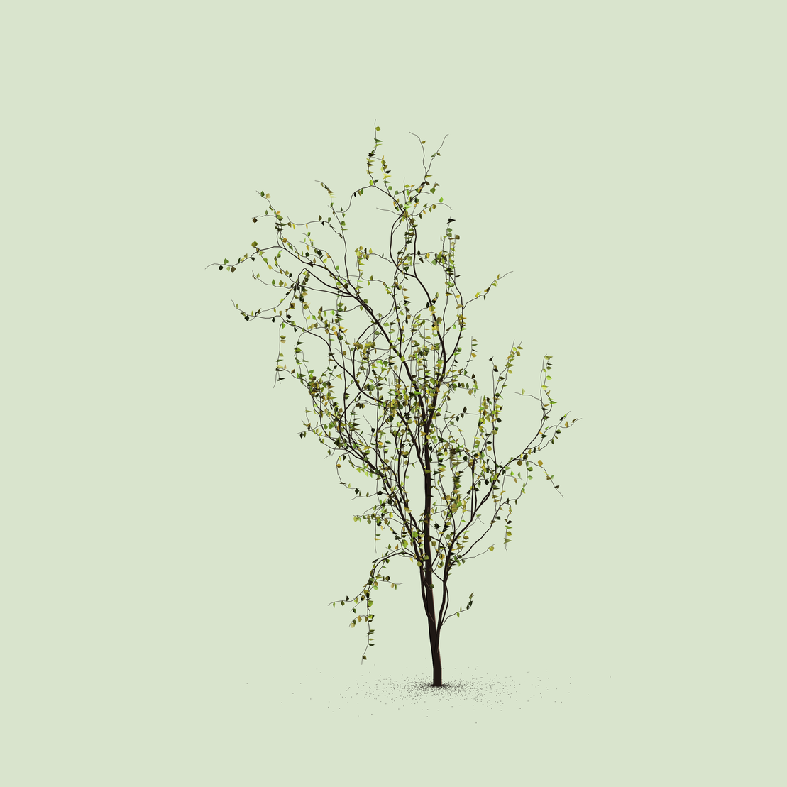 Little Trees #109