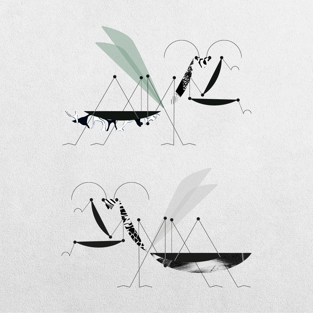 Mantis Abstraction #5