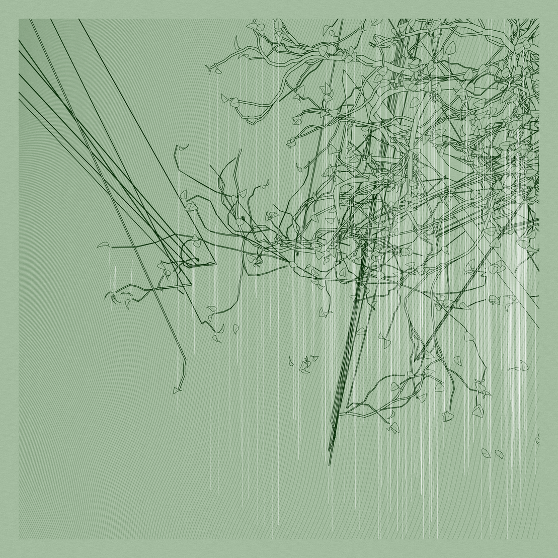 A Bugged Forest #466