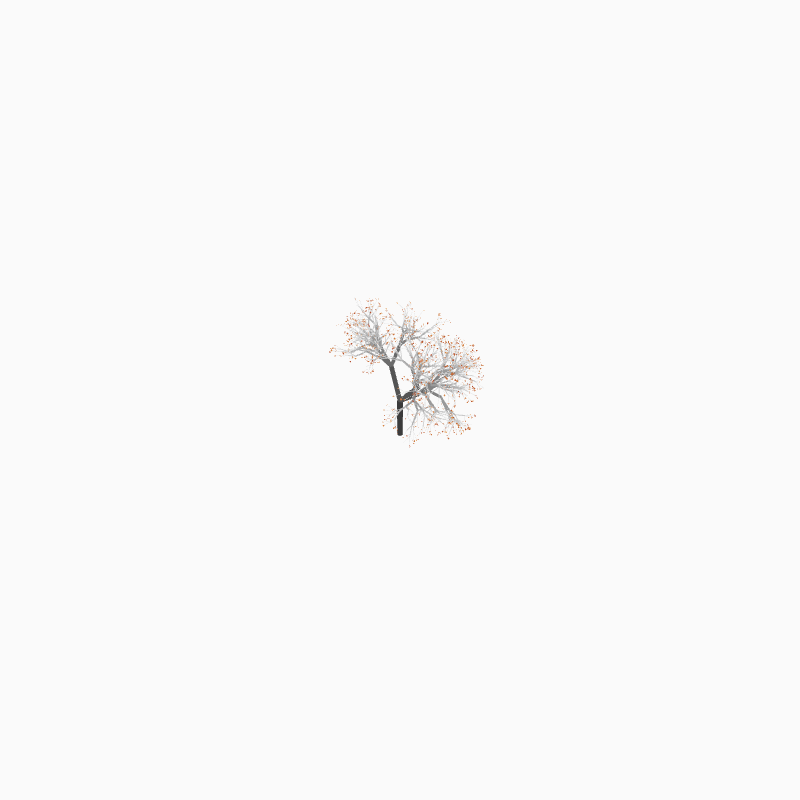 To Be a Tree #5