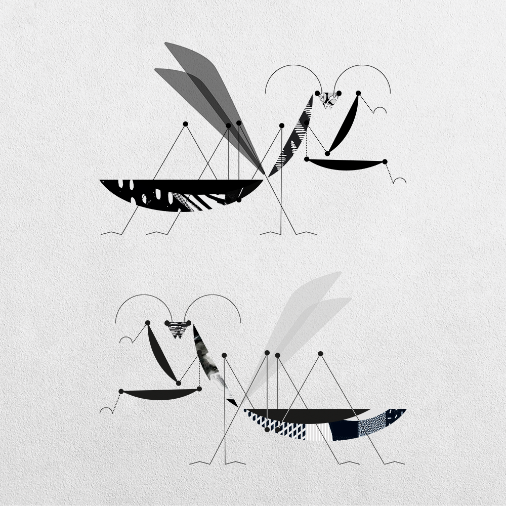 Mantis Abstraction #2