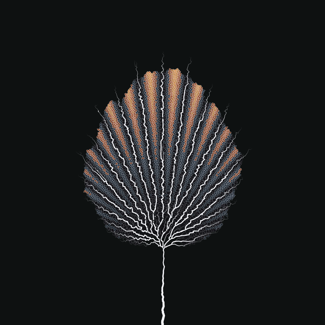 Leaf study #13