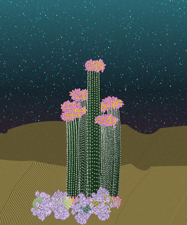 Cactigen #22