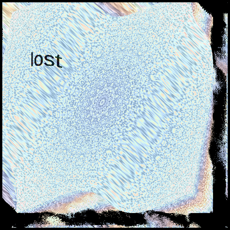 lost #1