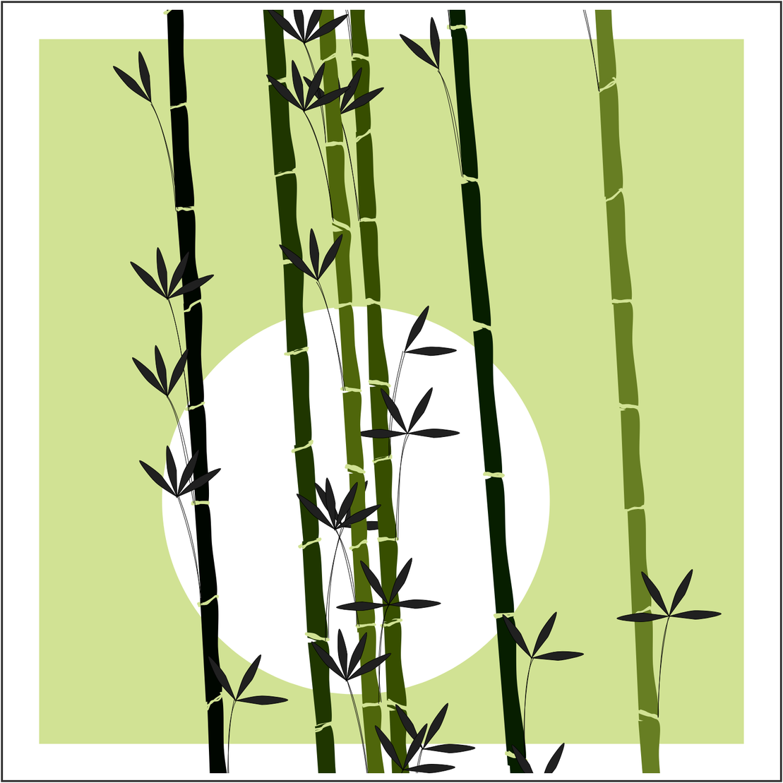 Bamboo and Beyond #41