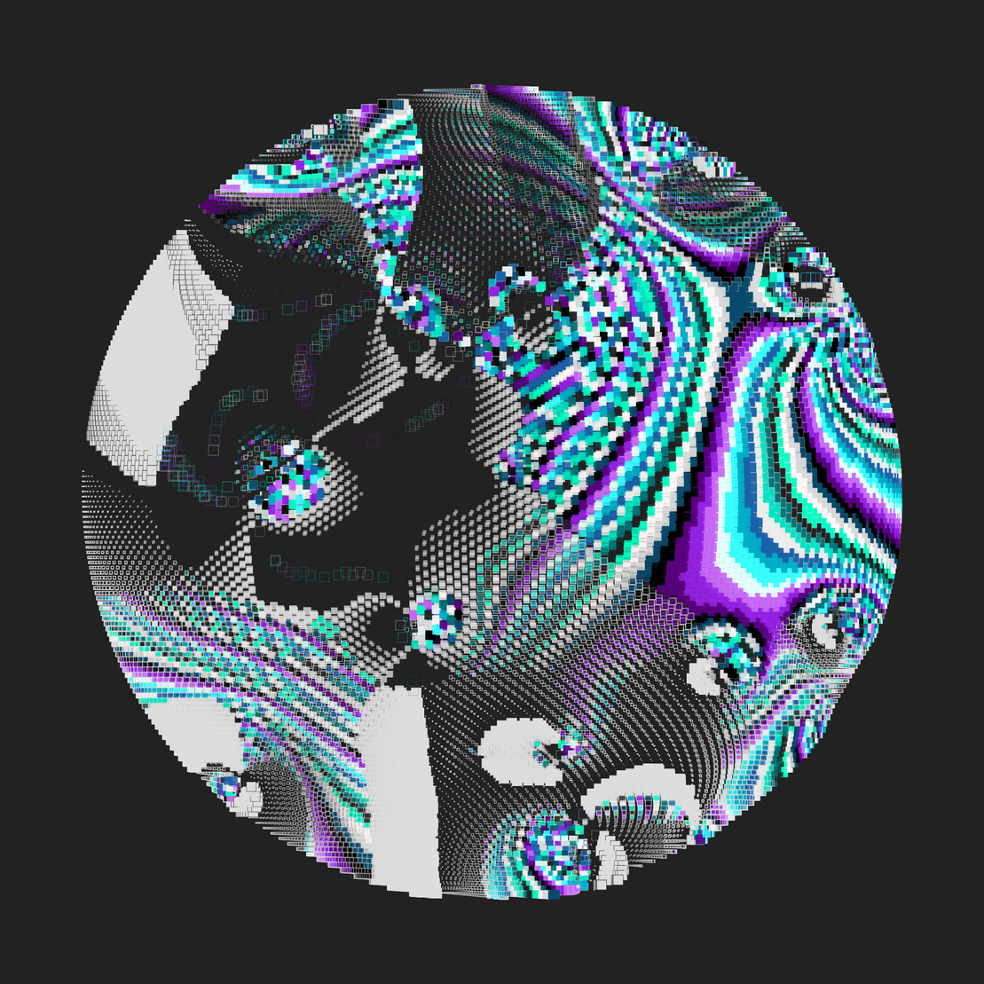 Still C #19220