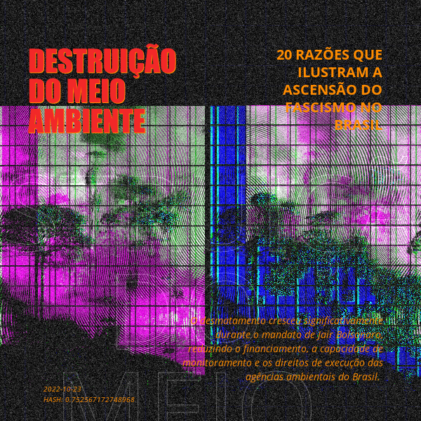 B4D - Brazil4Democracy #17