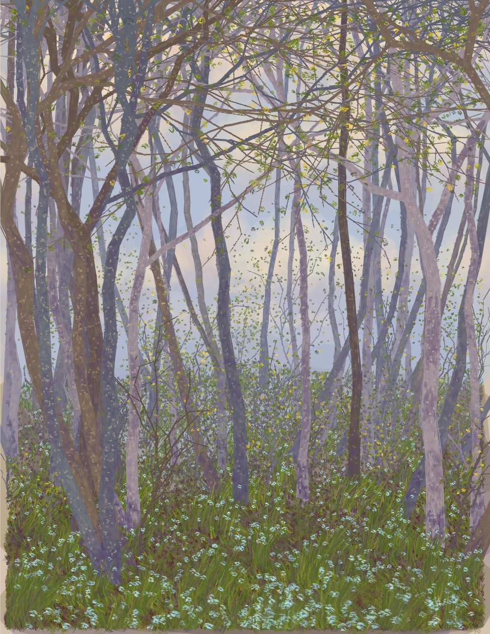 Deep Forest #112