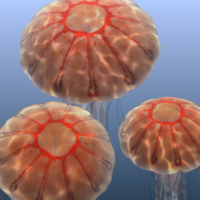 Jellyfish #64