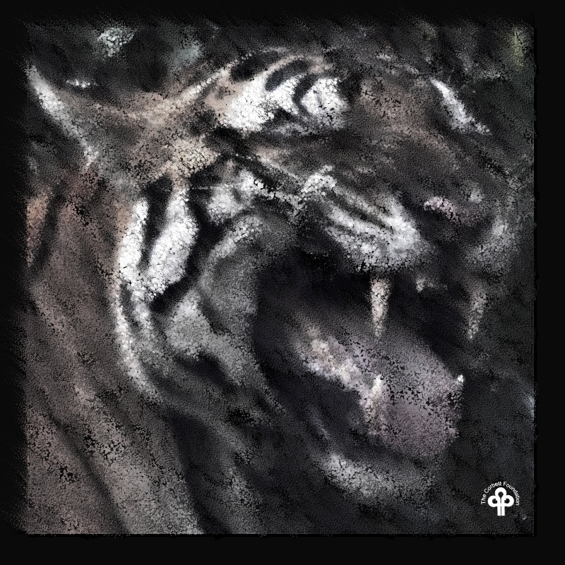 (re)generative tigers #24