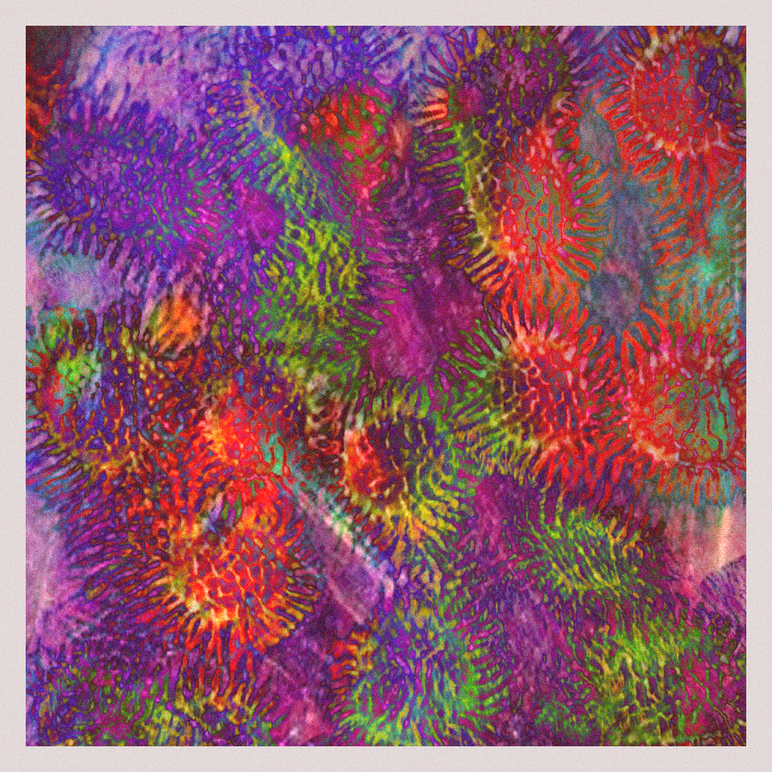 orGANics #8