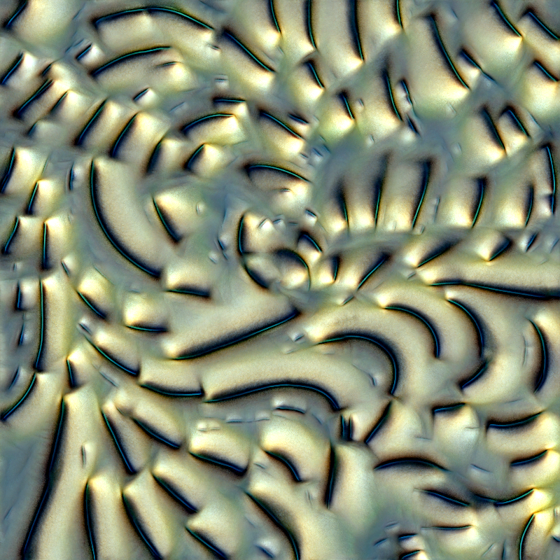Genomes #2640