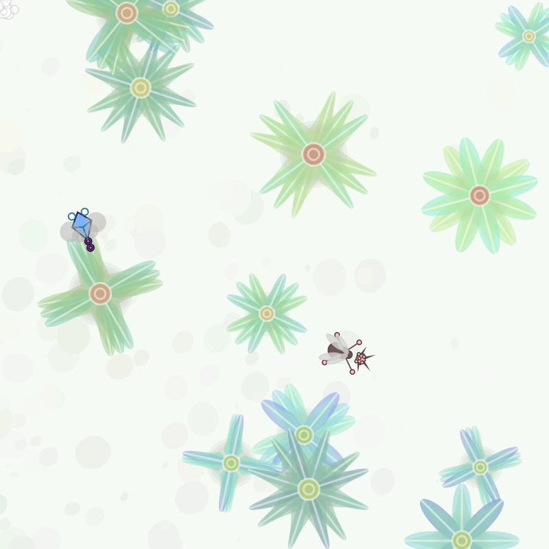 [Vital] - Bugs Terrarium #5