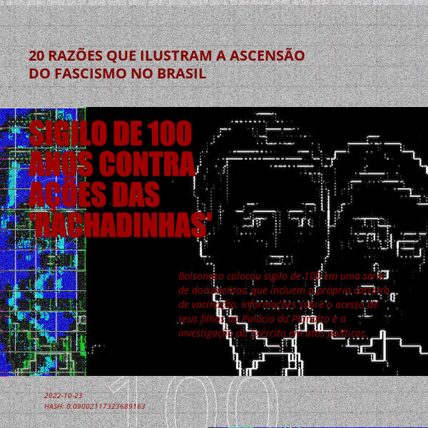 B4D - Brazil4Democracy #5