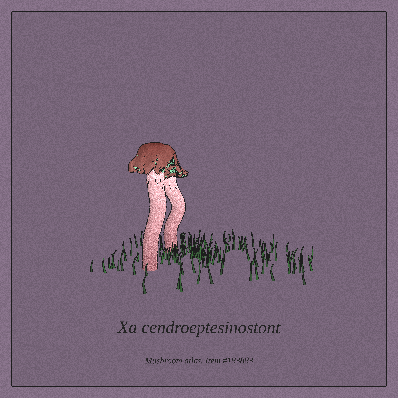 Mushroom Atlas #45