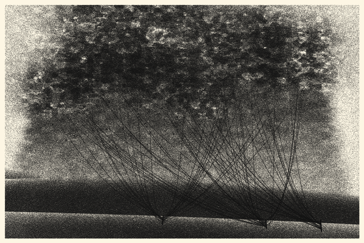 Cables and Clouds #152