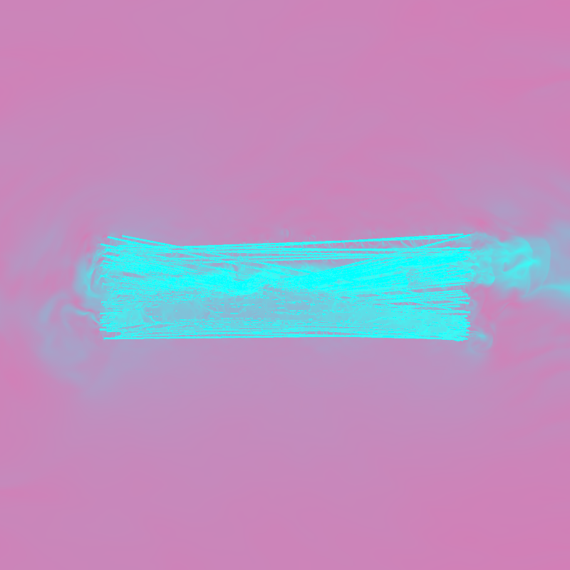 xxf #12