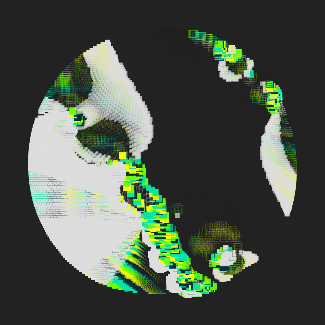 Still C #21306
