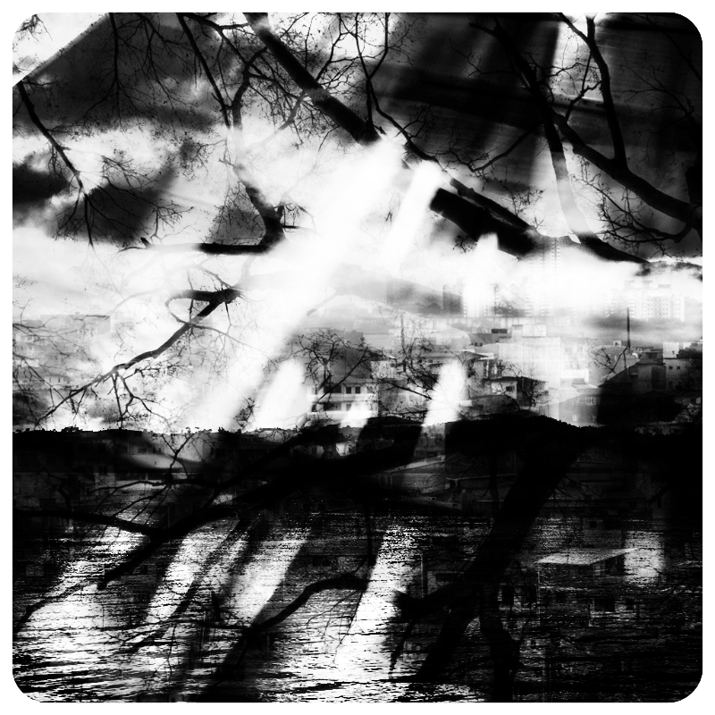 savedScapes #2