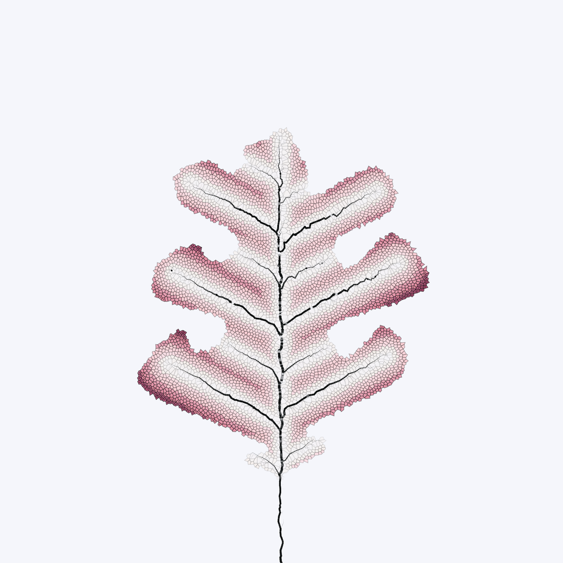 Leaf study #57