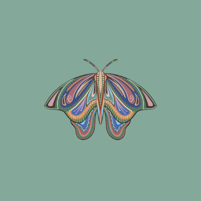 The Moth Experiment 2.0 P1 #7