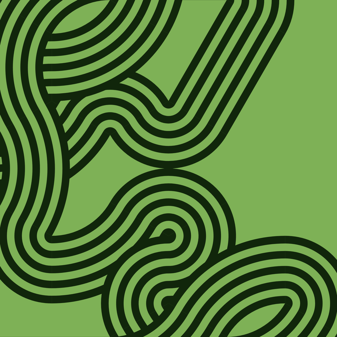 Wanderer #321