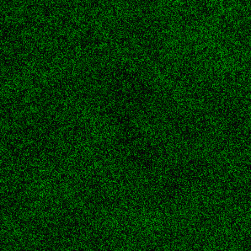 GREEN #17