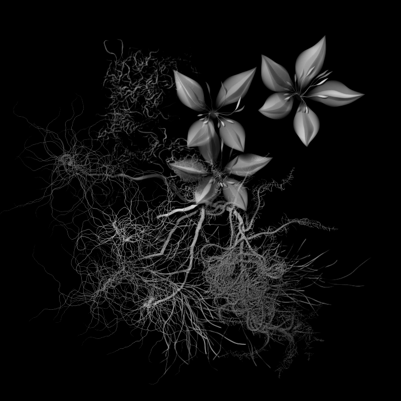 Botanical Ghosts #47