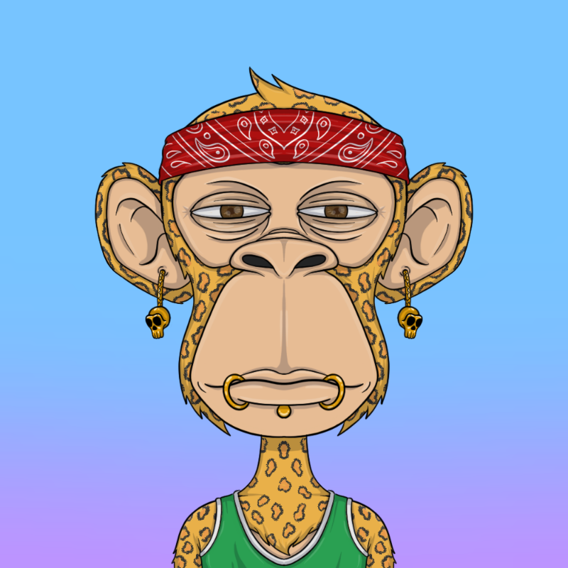 chimpantez #271