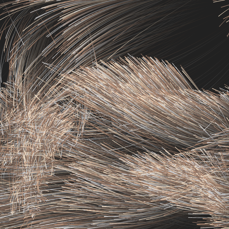 Strange Attractor Swarm #49