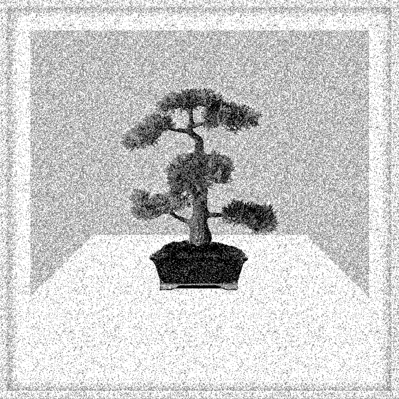 Bonsai Bonanza #257