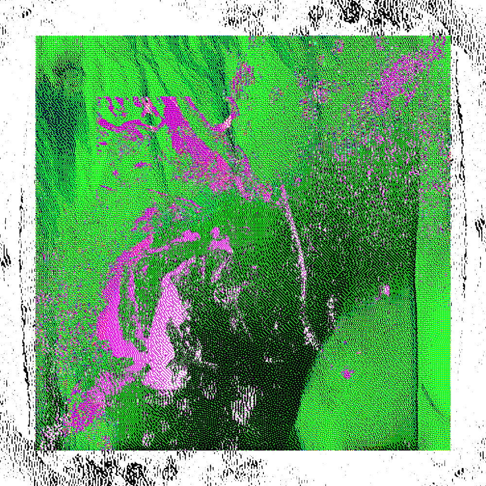 CHX-1 #10