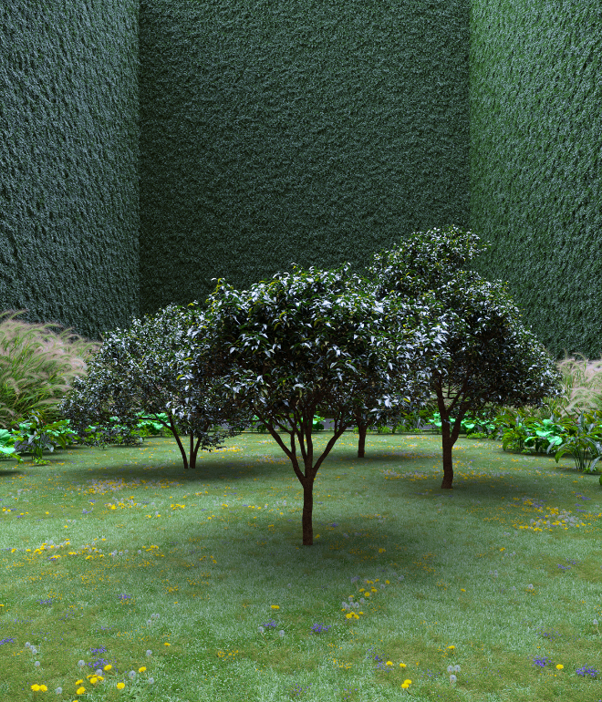 Garden of Imagination #60