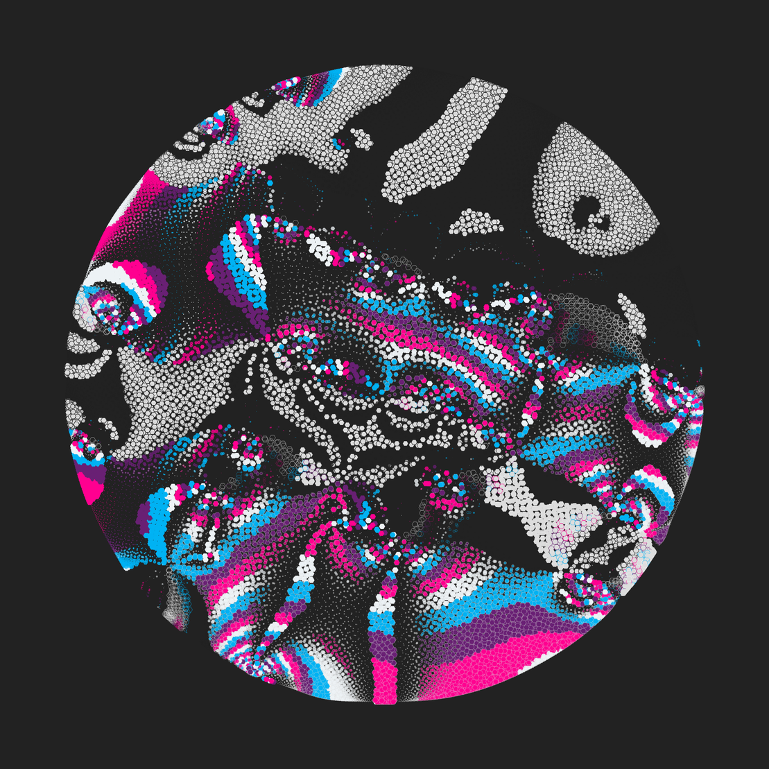 Still C #24712