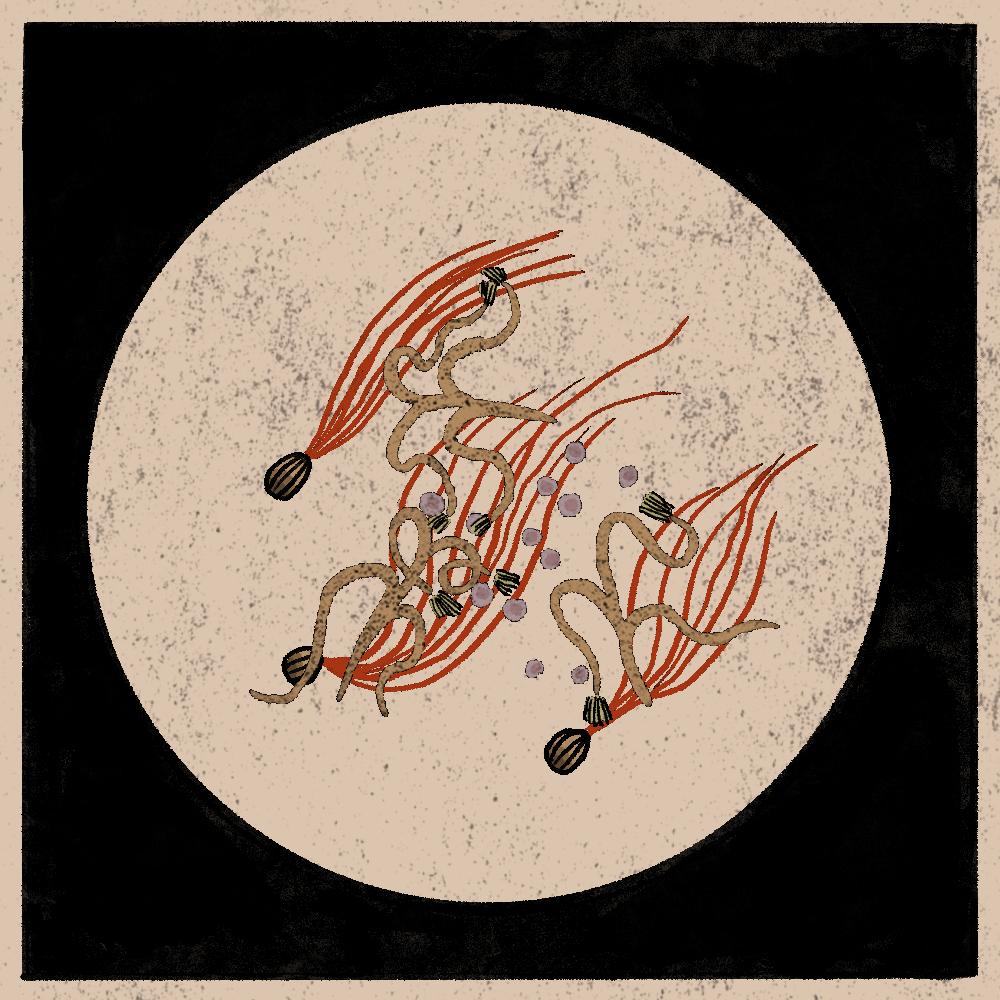 Microbes #105