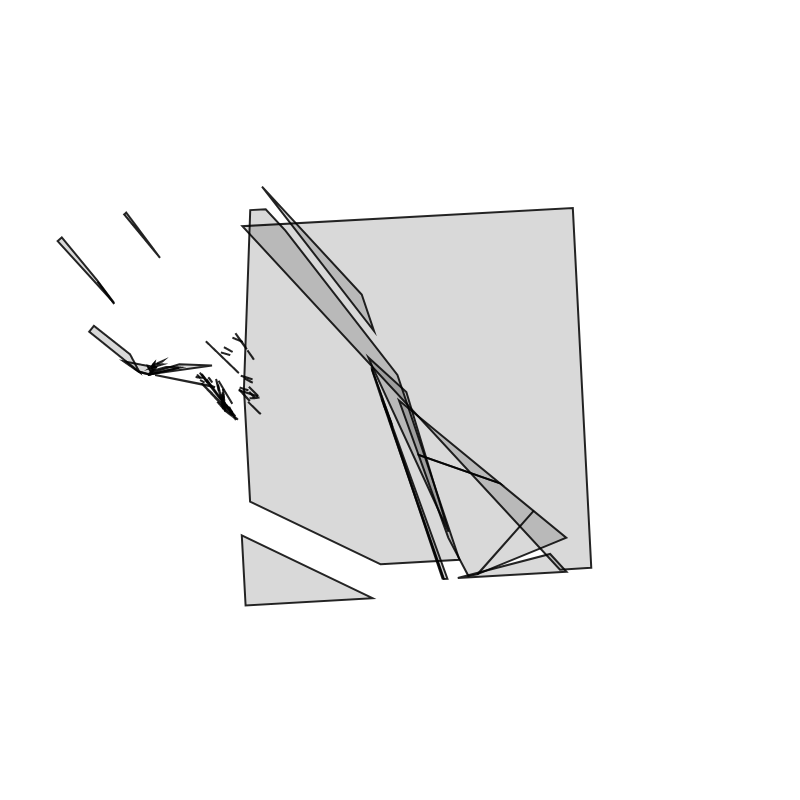 Fracture #21