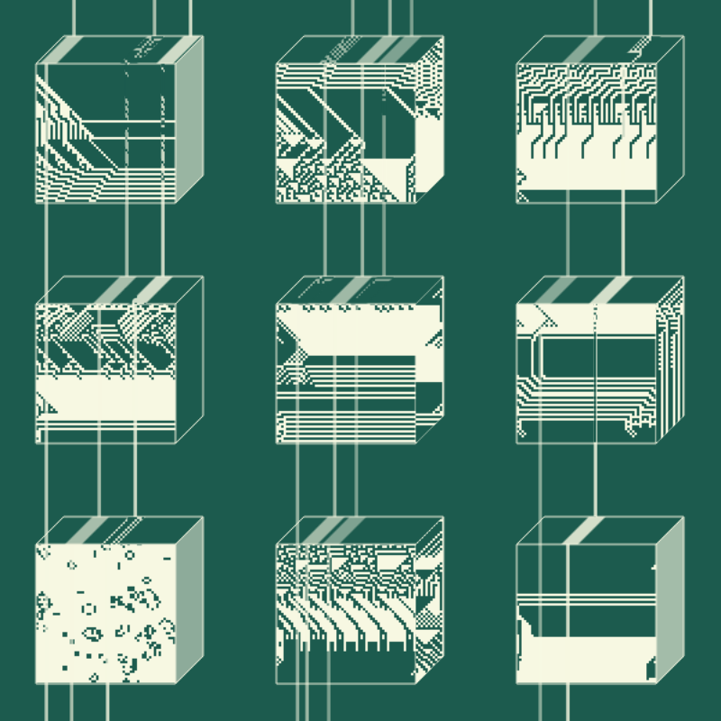 Multidimensional Maximalism #8