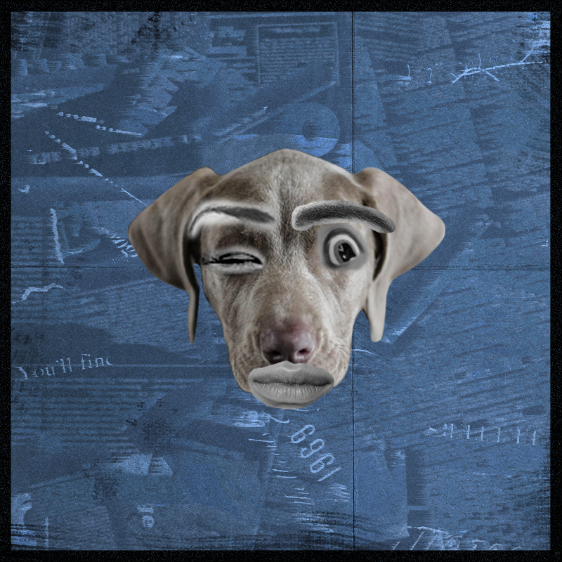 Doggenstein #5