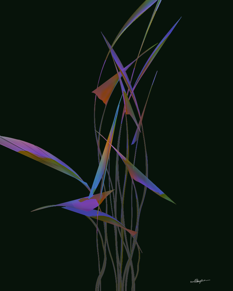 InBloom #58