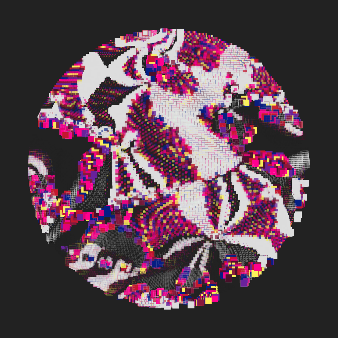 Still C #24648