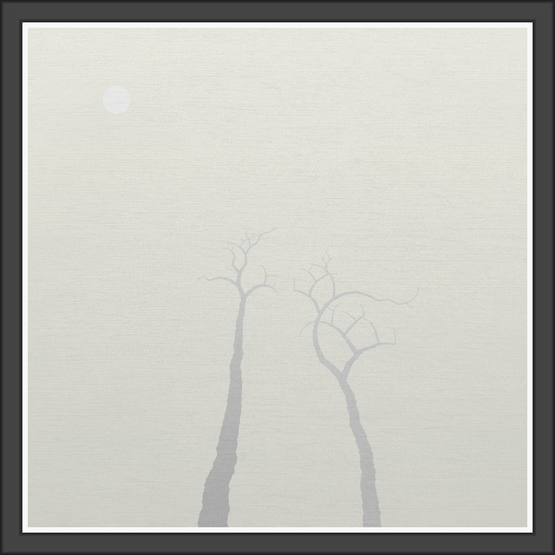 The Foggy Trees #34