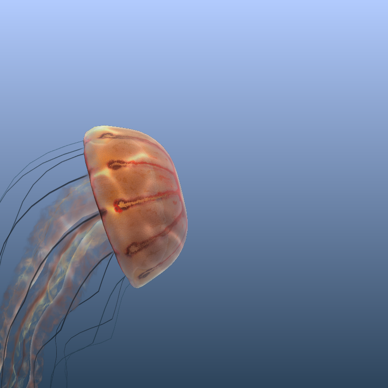 Jellyfish #38