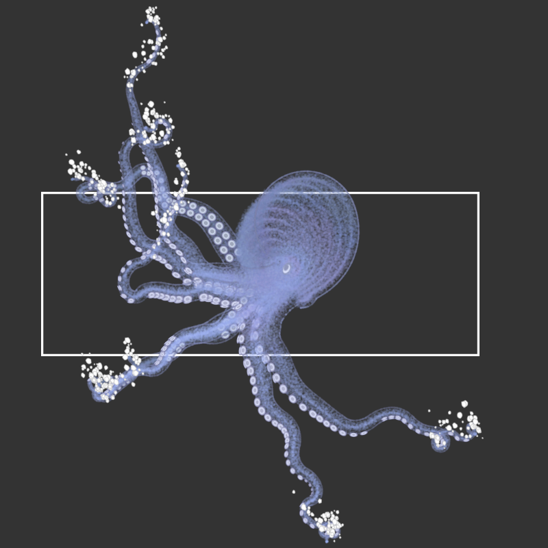 the generative octopuses #85